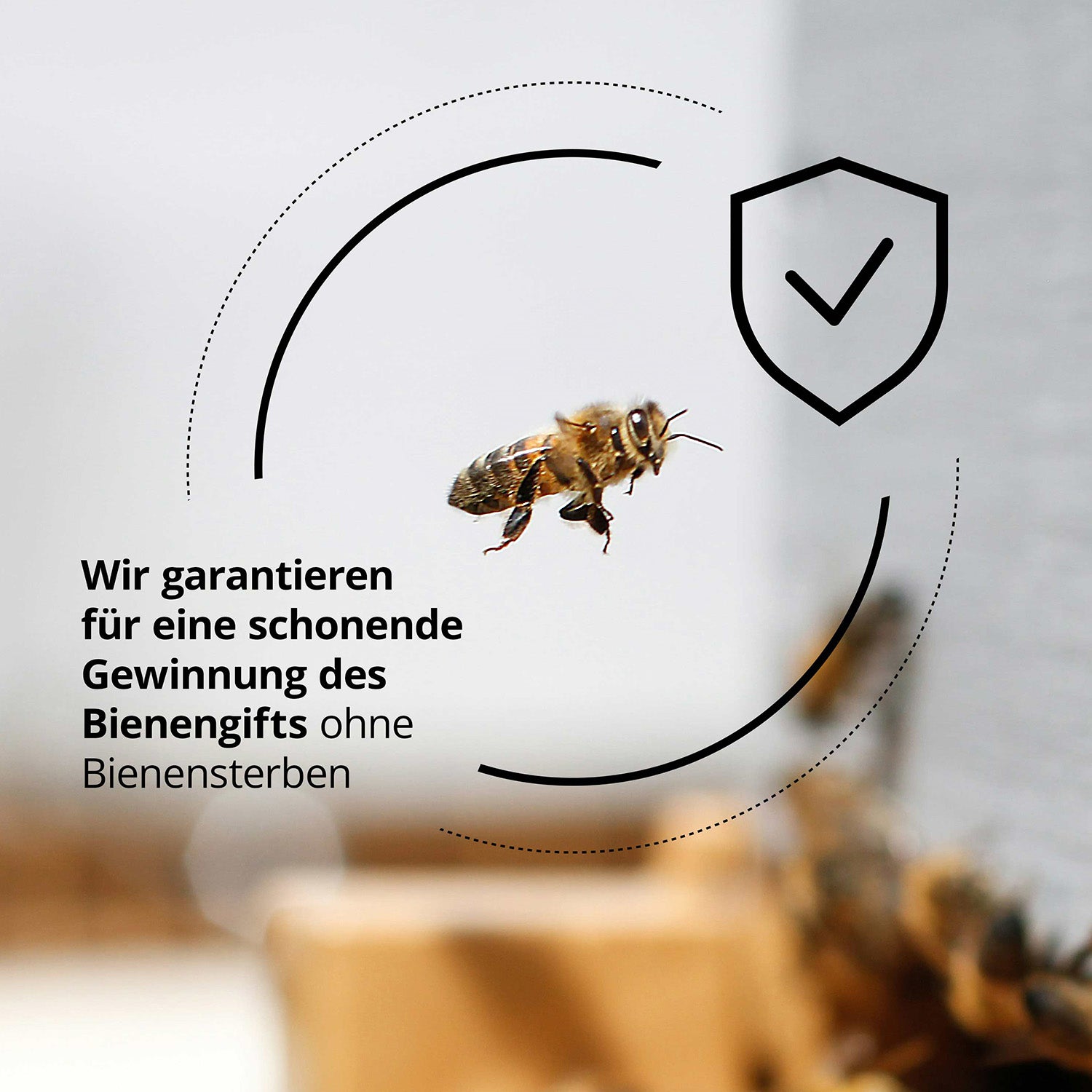 Bienengiftsalbe Leserangebot